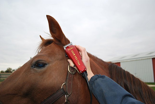 Wahl Show Pro Plus Horse Clipper Kit