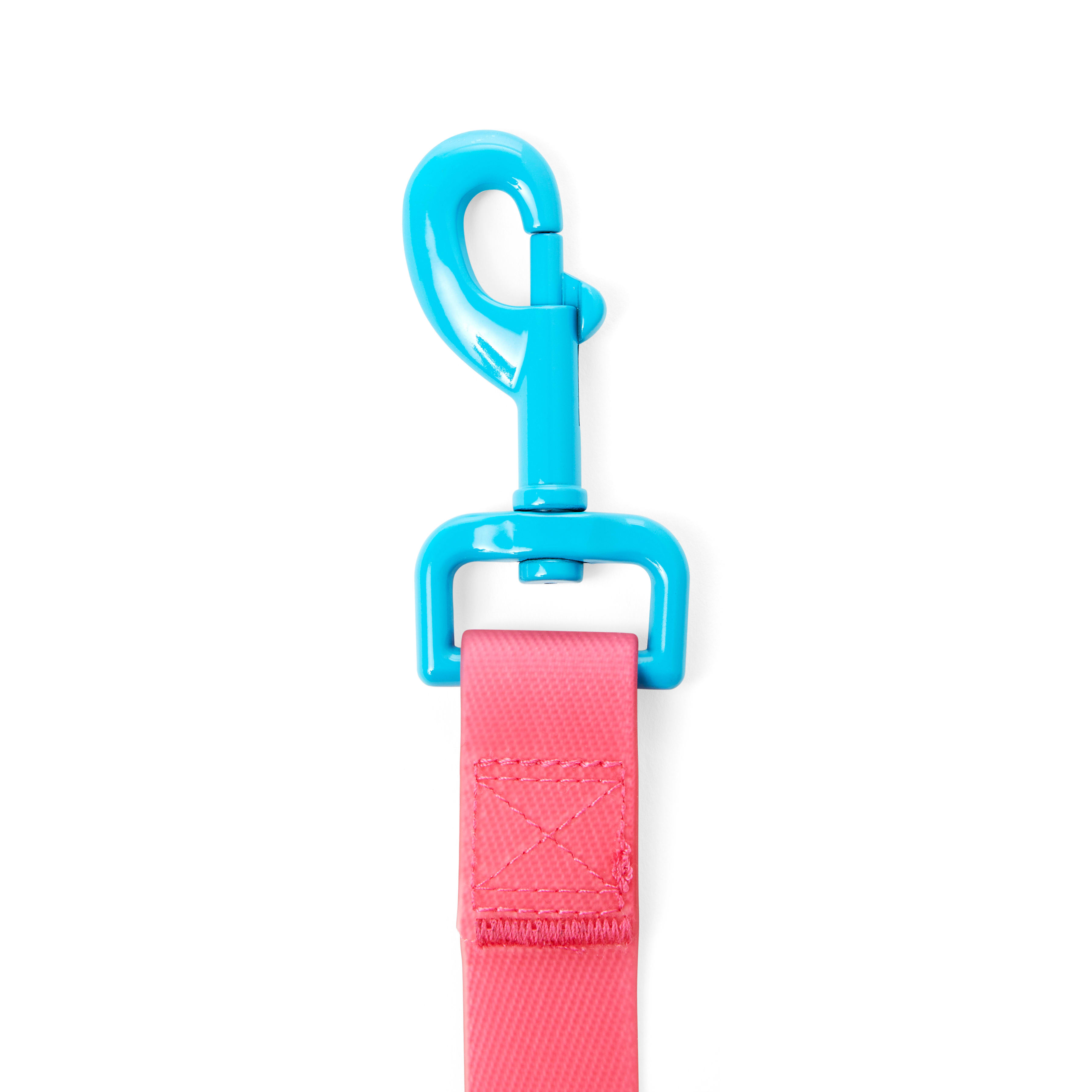 YOULY The Extrovert Water-Resistant Pink  Blue Colorblocked Dog Leash， 6 ft.