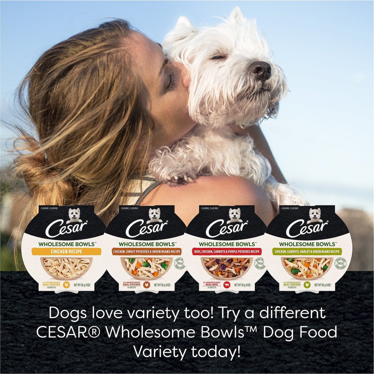 Cesar Wholesome Bowls Chicken， Apple and Sweet Potato Recipe Adult Soft Wet Dog Food， 3-oz Bowl， Case of 10