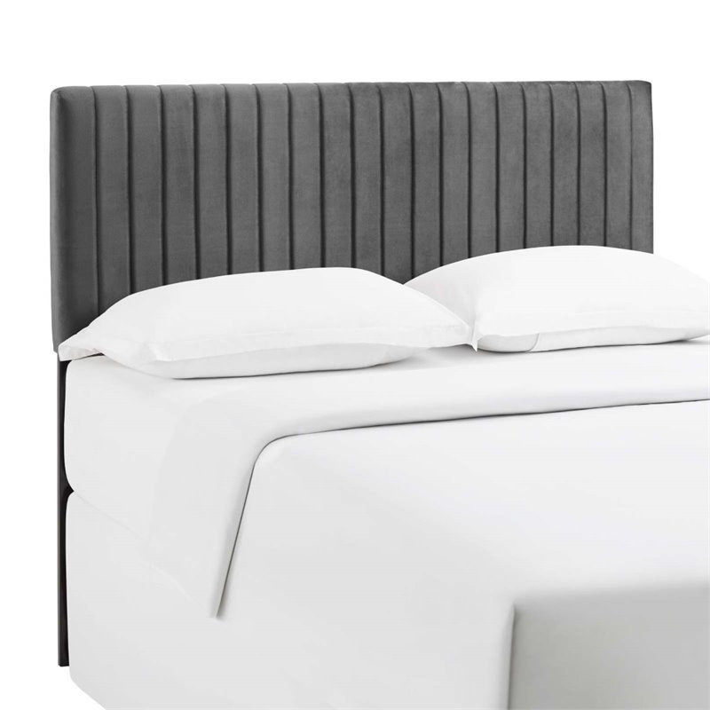 Modway Keira Velvet King California King Headboard in Gray   Transitional   Headboards   by ShopFreely  Houzz