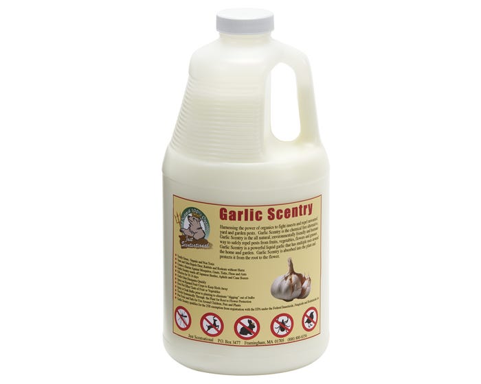 Bare Ground Just Scentsational Garlic Scentry， 1/2 Gal - GAR-64