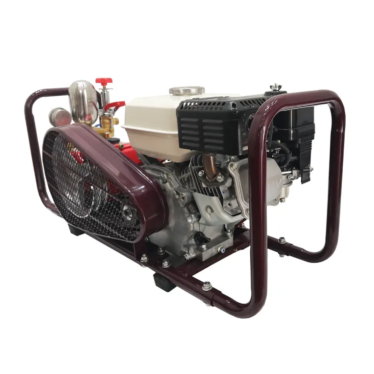 Taiwan Agricultural Pesticide High Pressure High Power Gasoline Engine 4 Stroke Portable Plunger Htp Pump Power Sprayer