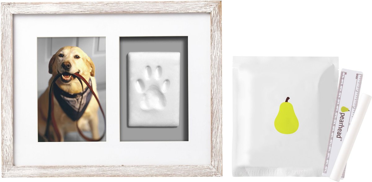 Pearhead Pawprints Wall Picture Frame， 4 x 6-in