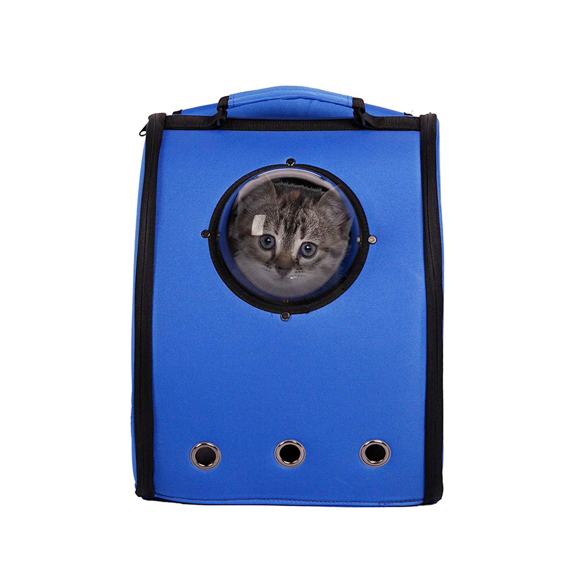 Karmas Product Bubble Cat Backpack， Blue