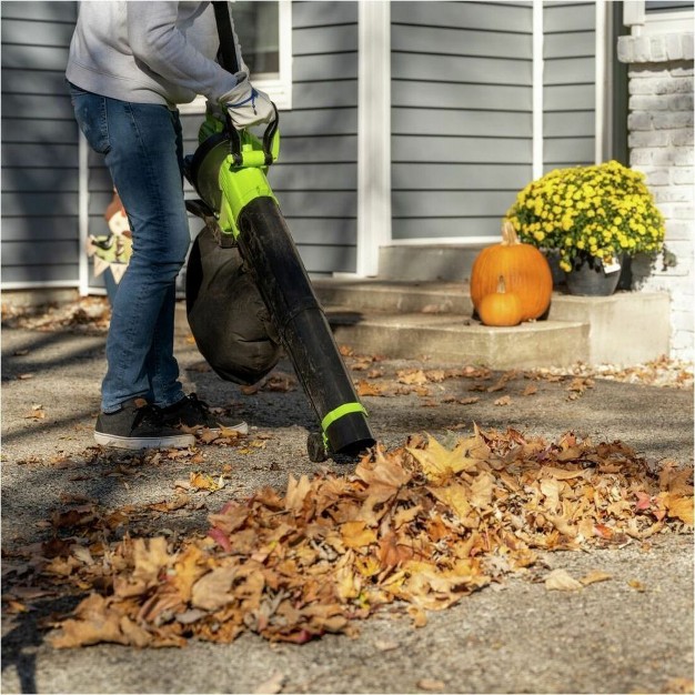 Earthwise Lbvm2202 Leaf Blower mulcher vacuum