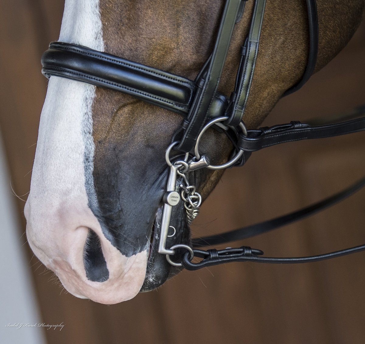 Lorenzini Lozenge Loose Ring Bradoon Snaffle Horse Bit