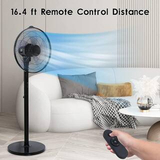 Edendirect 14.5 in. Adjustable 12 Levels Speed Pedestal Stand Fan with Remote Control 90 Horizontal Oscillating 9-Hours Timer DHS0RA0713003