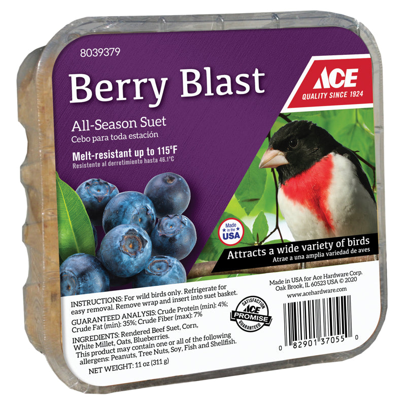 SUET BERRY BLAST 11OZ