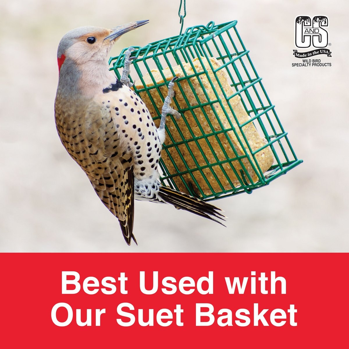 CandS Woodpecker Treat Suet Wild Bird Food