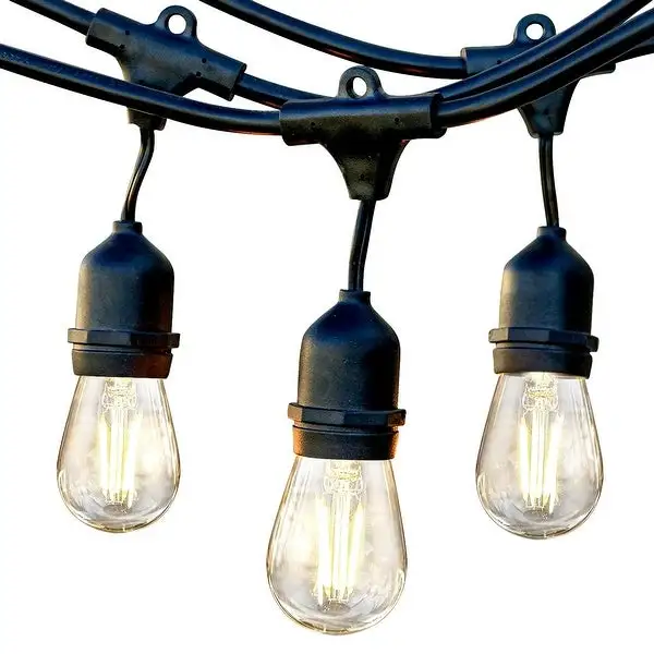 15 Glass LED Bulbs, 48 Ft Commercial Grade 2W String Lights - 3000K