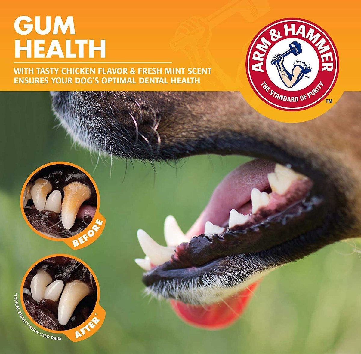 Arm and Hammer Clinical Gum Health Chicken Flavored Dog Dental Kit