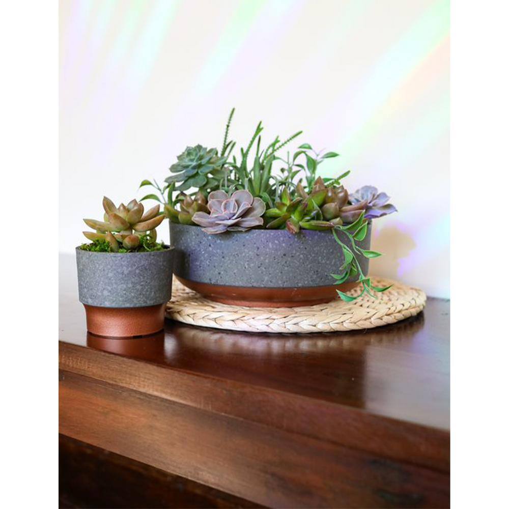 THE HC COMPANIES 3 in. Sprite Succulent Planter Pot， Faux Concrete Copper (2-Pack) 2 x SSP03000K20C040LRCOY