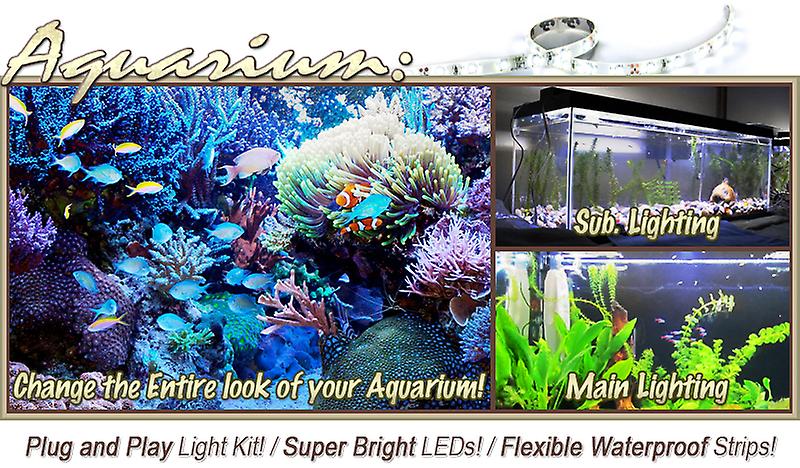 32.8' ft Warm White Aquarium Saltwater White LED Strip Lighting Complete Package Kit Lamp Light DIY - Main Lighting Fresh Water Salt Water Tanks Water Resistant 3528 SMD Flexible DIY 220V