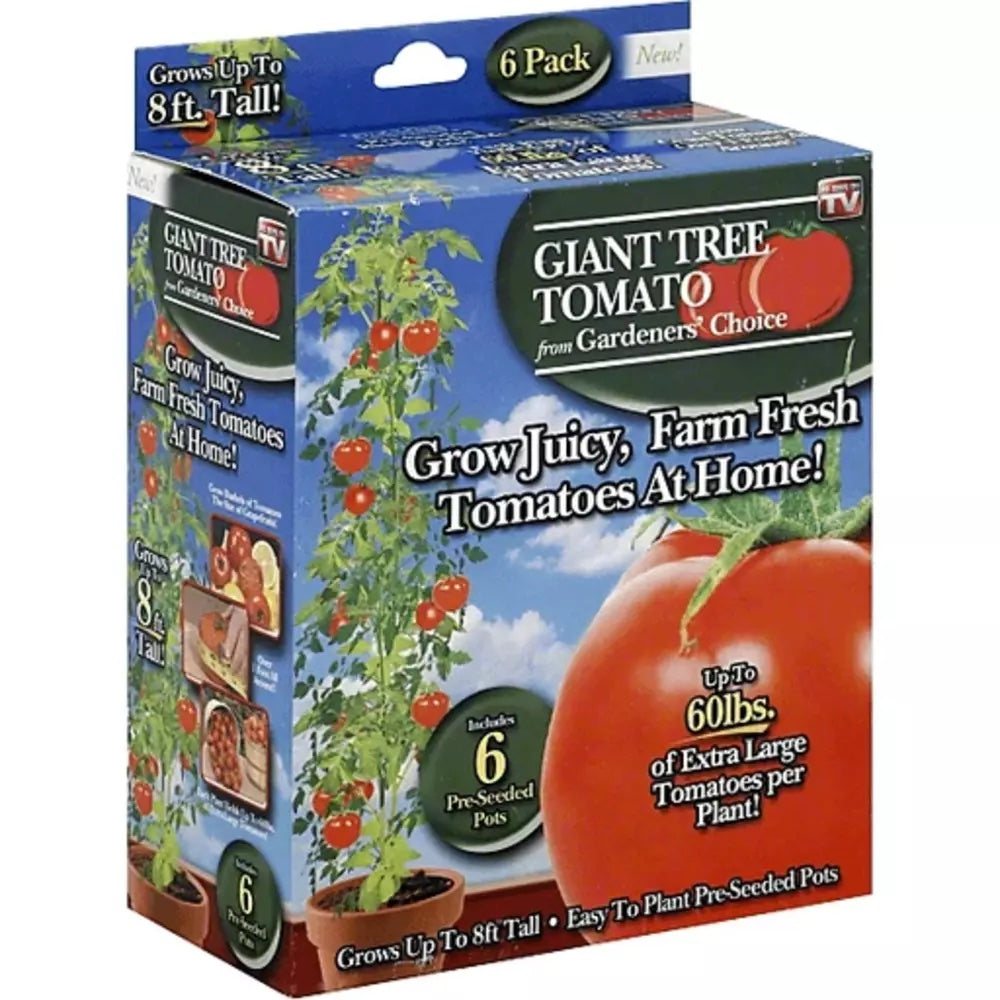 Spring River Nurseries Gardener's Choice Giant Tree Tomato - Includes 12 Pre-Seeded Pots Green