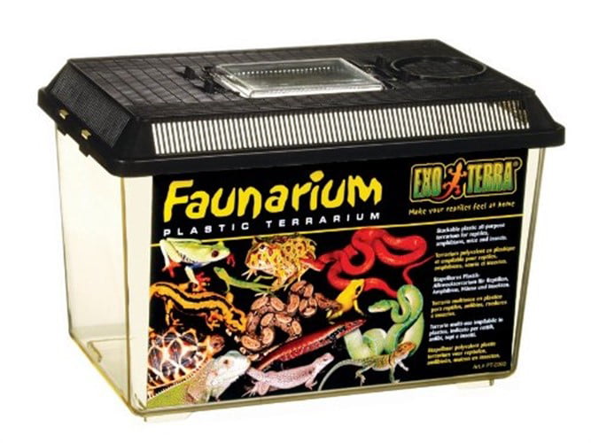 Exo Terra Medium Faunarium