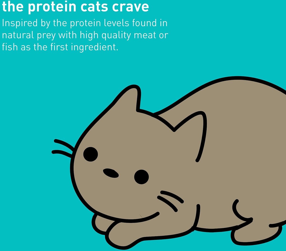 Dr. Elsey's cleanprotein Pork Recipe Grain-Free Canned Cat Food