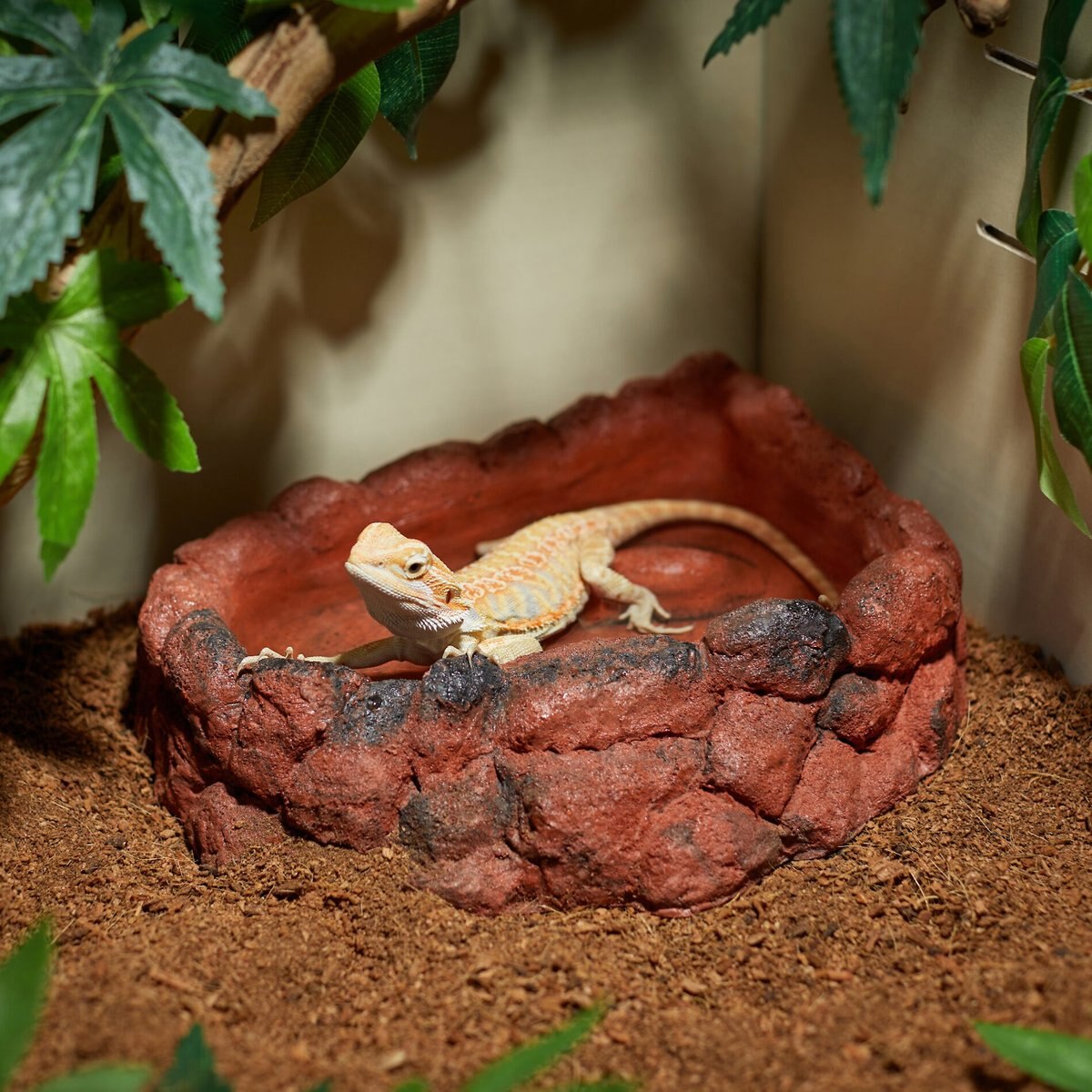 CC Pet Corner Boulder Reptile Deep Soaker