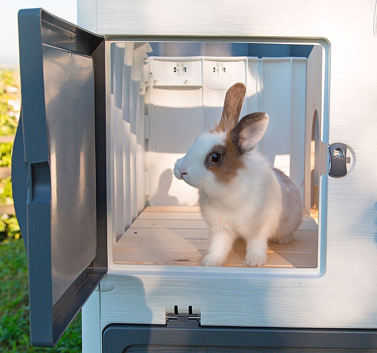 Ferplast Grand Lodge and Rabbit Hutch