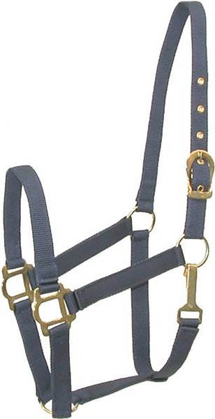 Gatsby Classic Nylon Horse Halter and Snap