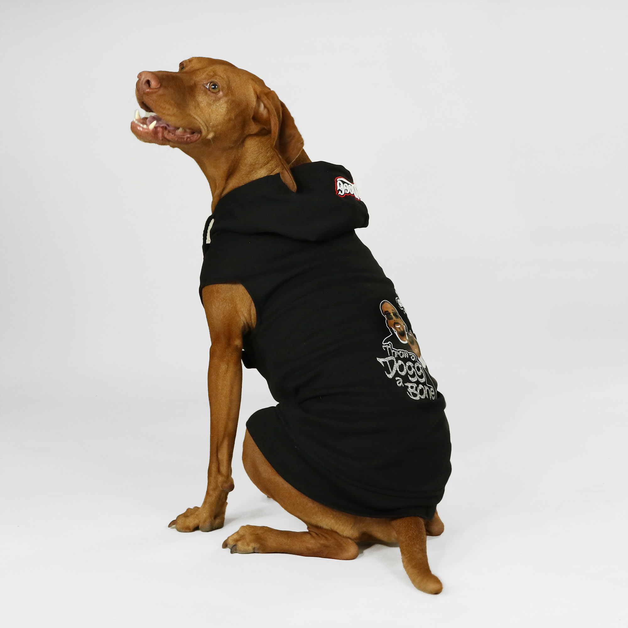 Snoop Doggie Doggs Black Throw a Dogg a Bone Deluxe Pet Hoodie， X-Small