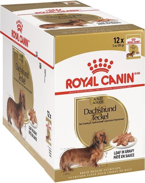 Royal Canin Breed Health Nutrition Dachshund Adult Loaf In Gravy Pouch Dog Food