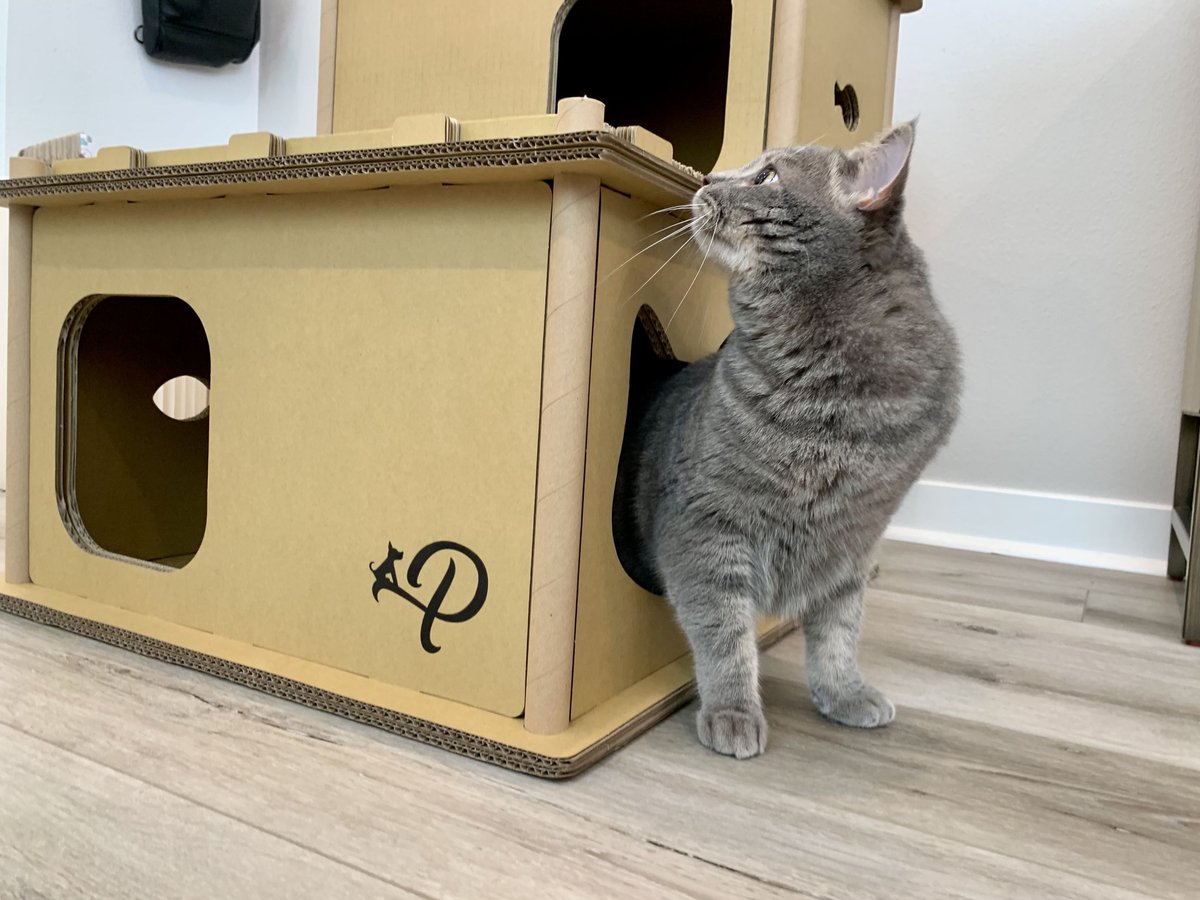 Petique Feline Villa Cat House， Tan