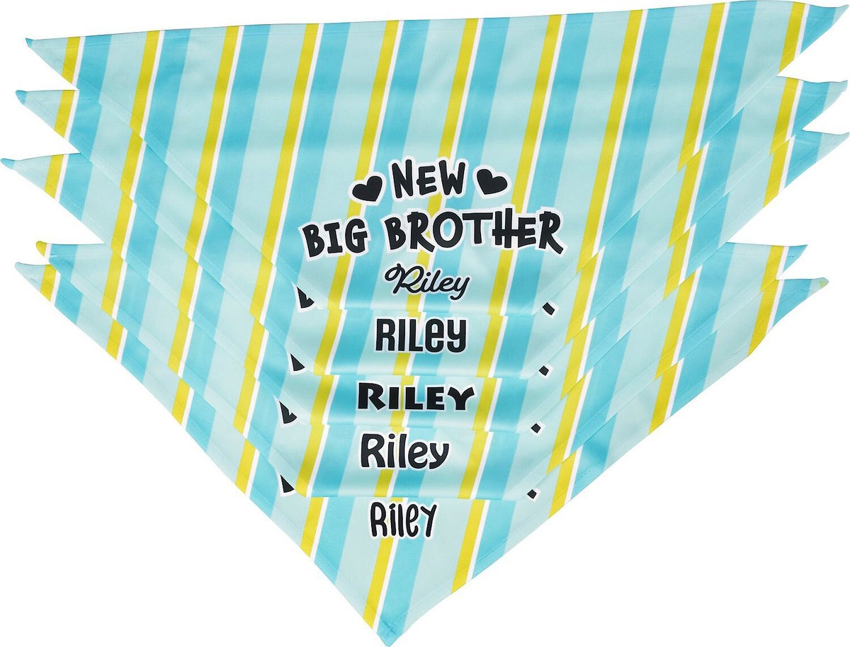 Frisco Big Brother Personalized Dog and Cat Bandana