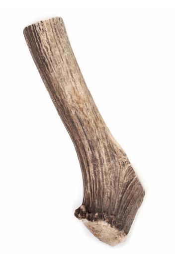 Antler Chews Elk Antler Dog Chew