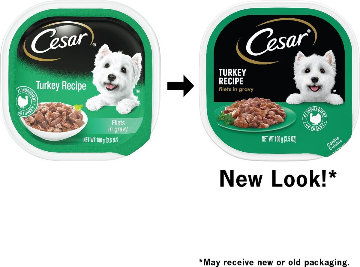 Cesar Turkey Recipe Filets in Gravy Wet Dog Food Trays