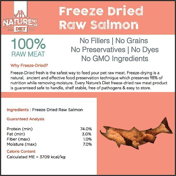 Nature's Diet Salmon Raw Freeze-Dried Cat Treats， 1-oz pouch