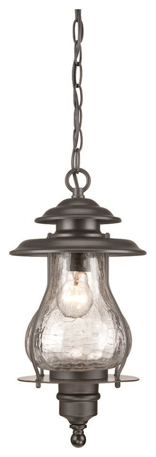 Acclaim Lighting Blue Ridge 1 Light Hanging Light  Matte Black   Beach Style   Outdoor Hanging Lights   by Buildcom  Houzz