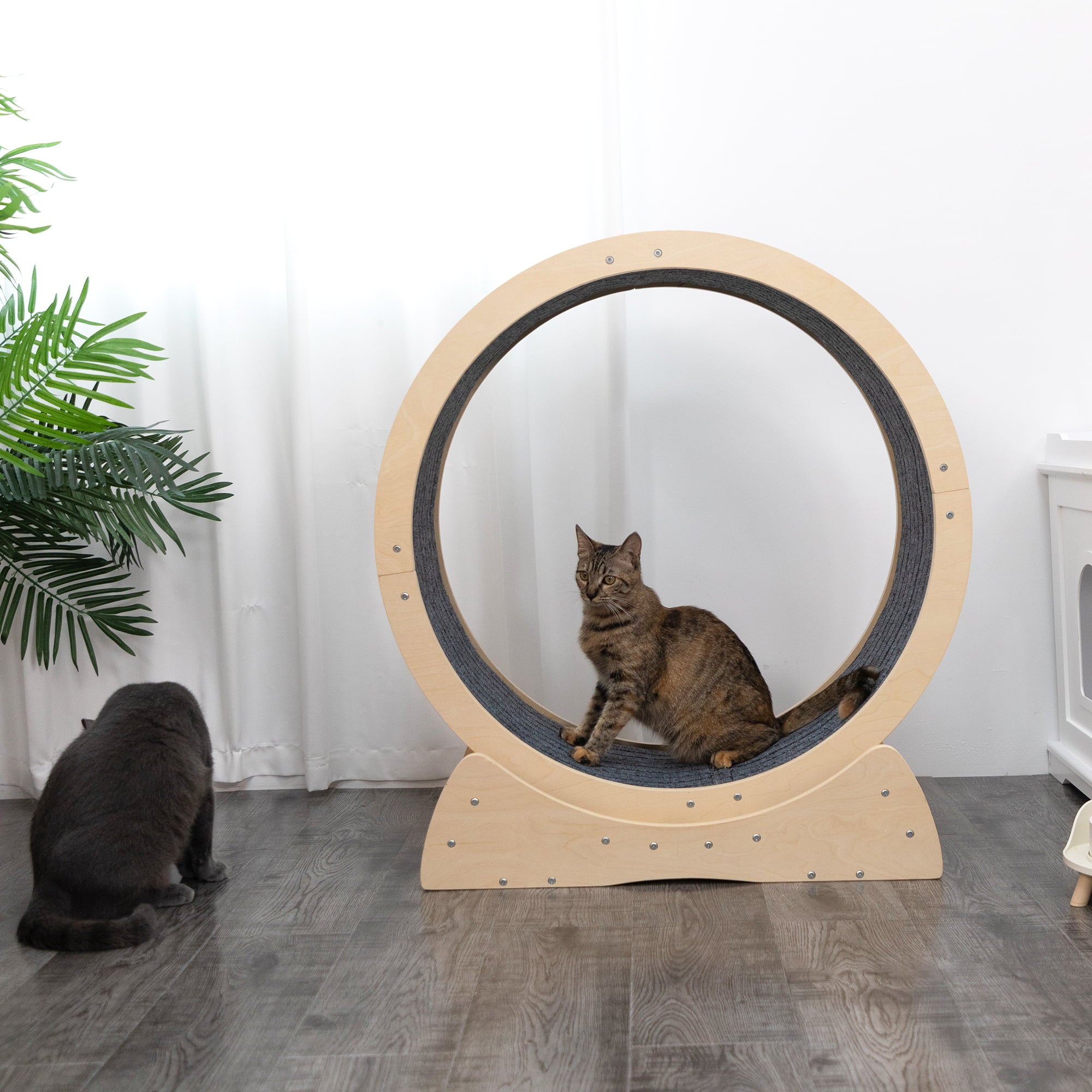 Coziwow Cat Running Wheel Cat Tree Cat Exercise Wheel Cat Tower Cat Treadmill Indoor