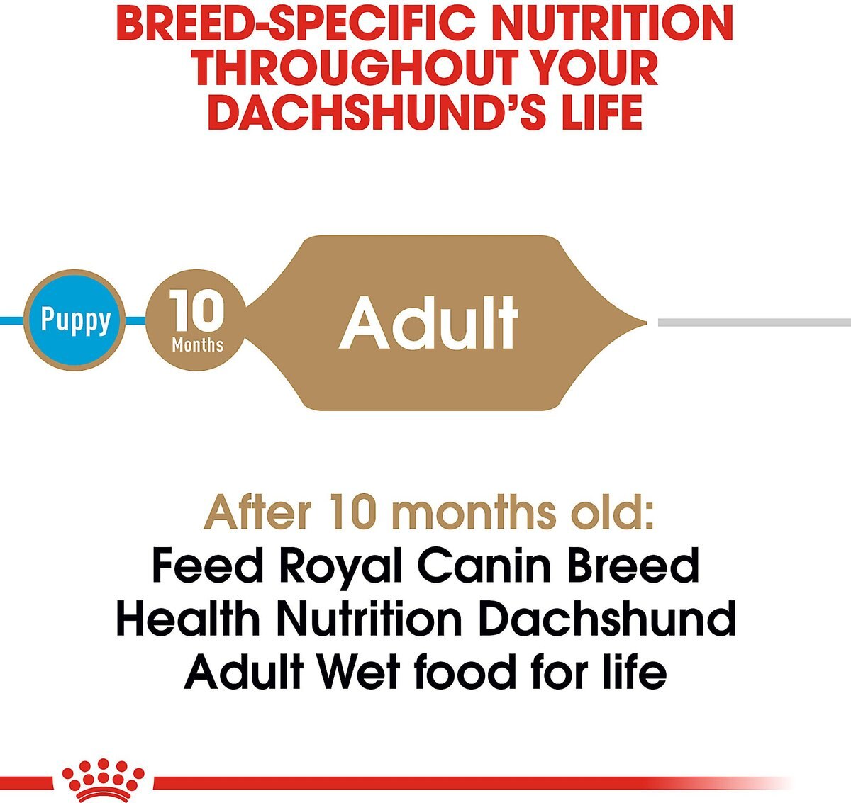 Royal Canin Breed Health Nutrition Dachshund Adult Loaf In Gravy Pouch Dog Food