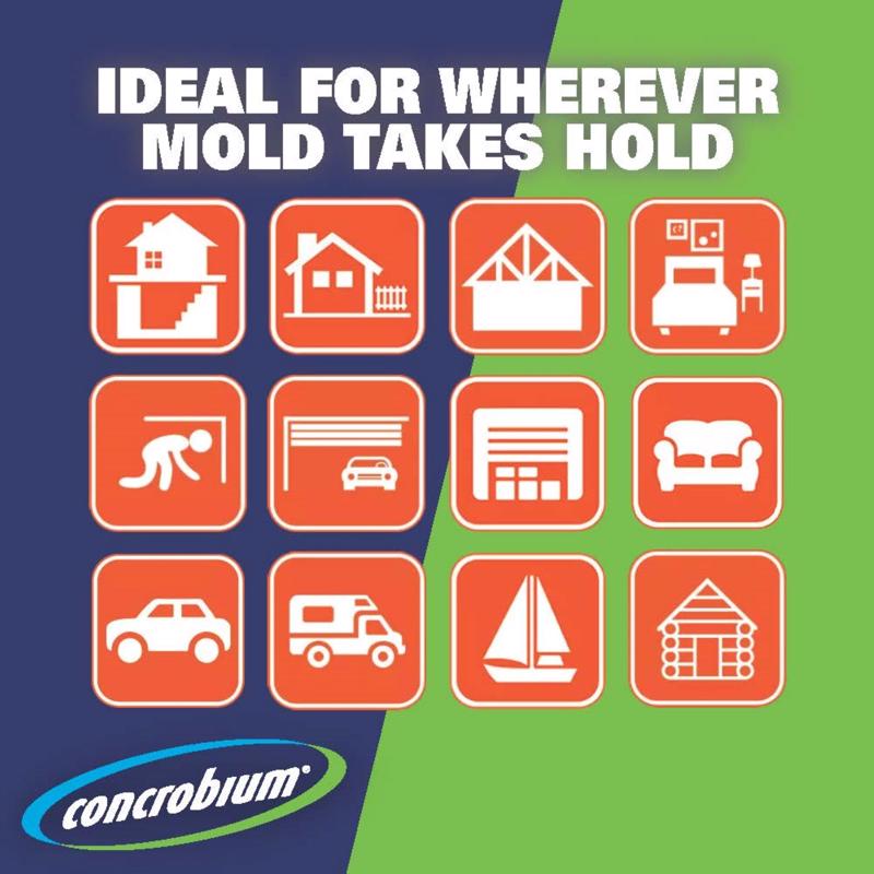 MOLD MILDEW CNTRL 14.1OZ