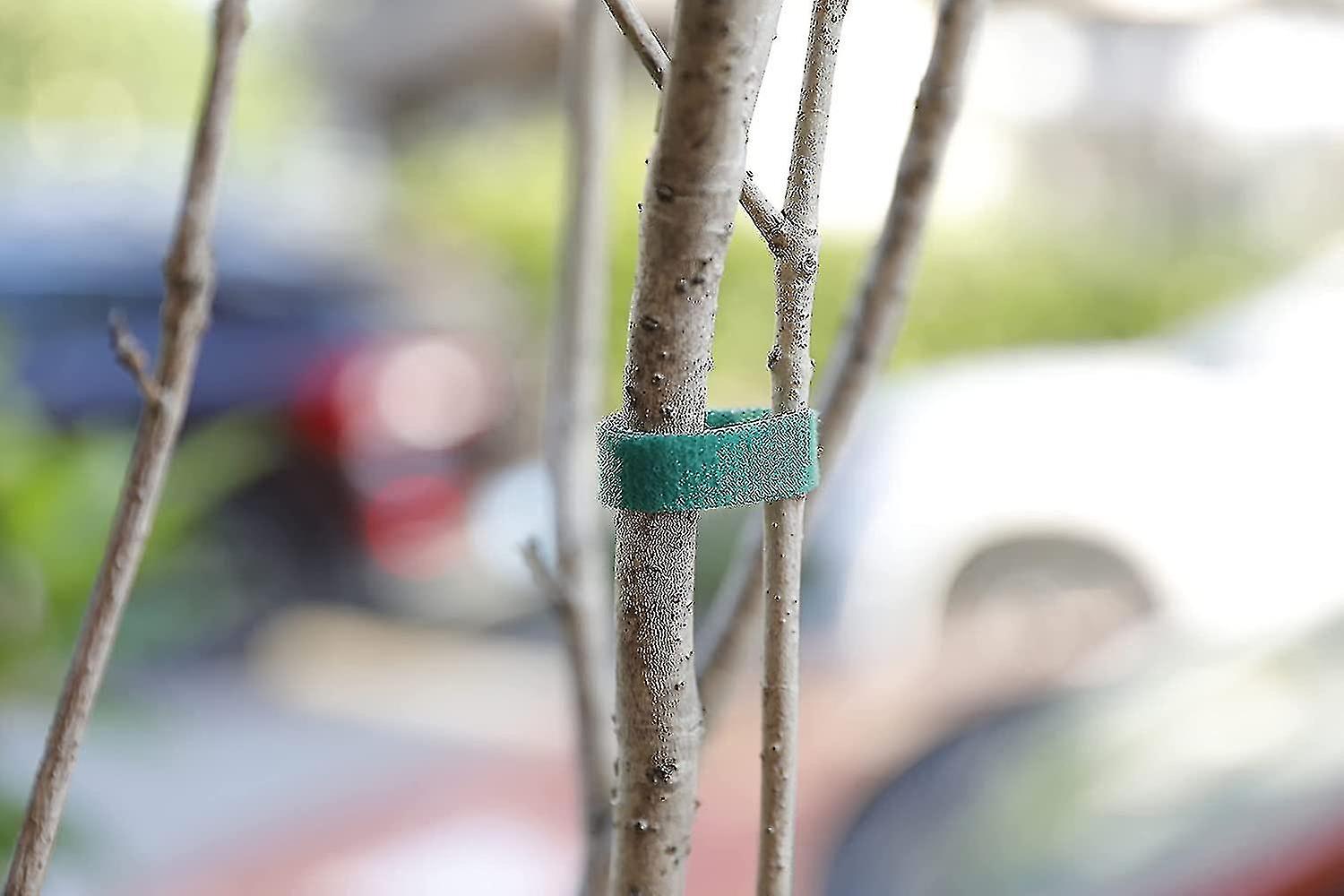 Plant Ties Garden Tape Reusable Nylon Plant Tie Strap，tomato Plant Support，tree Ties Plant Supports(