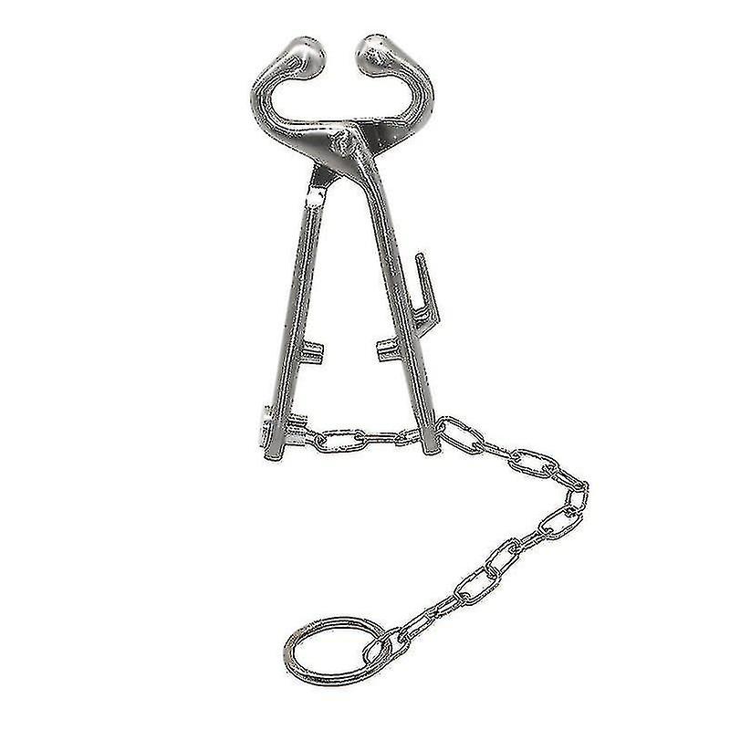 1 Pcs Farm Cattle Livestock Tool Stainless Steel Cow Nose Ring Pliers Bull Cattle Bovine With Chain