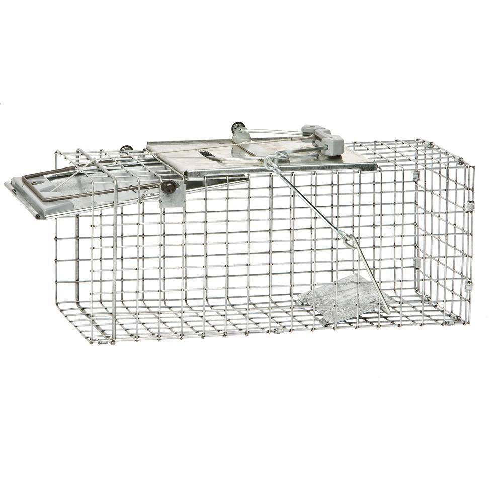 Havahart Small 1-Door Easy Set Live Animal Cage Trap for Squirrel and Rabbit 1083