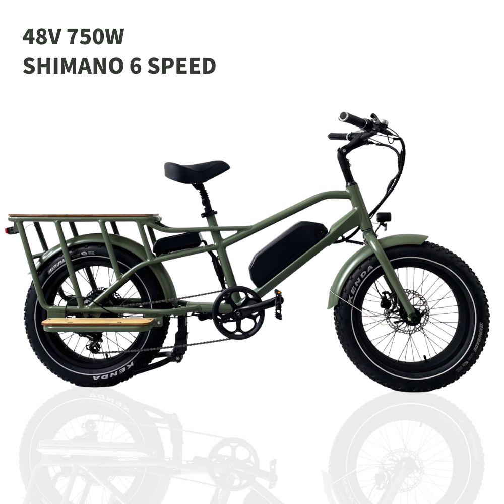 Rear wheel 48V 750W e cargo bike bicicletas de ruta bicicleta eletrica de carretera cargo ebike electric cycles for men