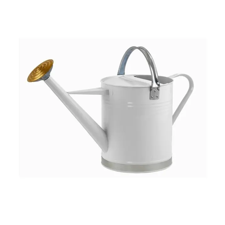 Designer Metal Water Can Super Fine Quality Handmade Decorative Wholesale Watering Can Hot Selling Garden Supplies Water Can