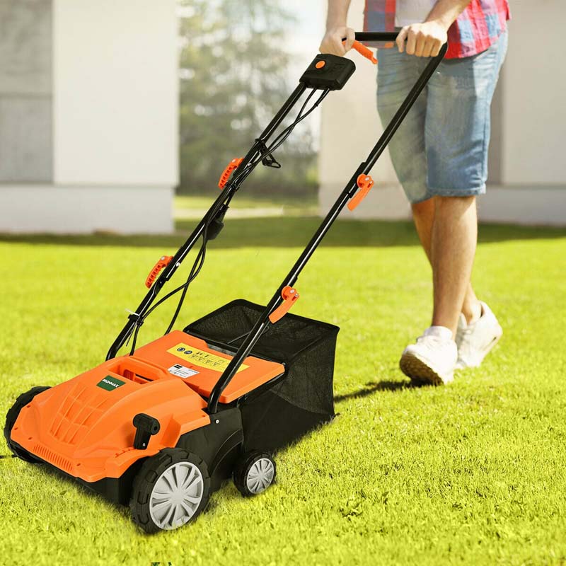 2-in-1 Electric Lawn Dethatcher & Scarifier, 12 Amp 13