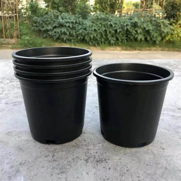 Professional Supply Black Pe Coated Nursery Plants Black Planters Plastic Pot