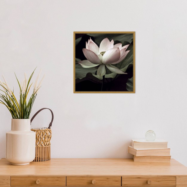 X 16 quot The Lotus I By Andy Neuwirth Framed Canvas Wall Art Amanti Art