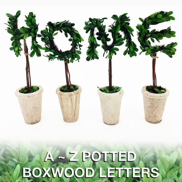 Modern Home 13 Real Preserved Boxwood Monogram Letters w/Terra Cotta Pot