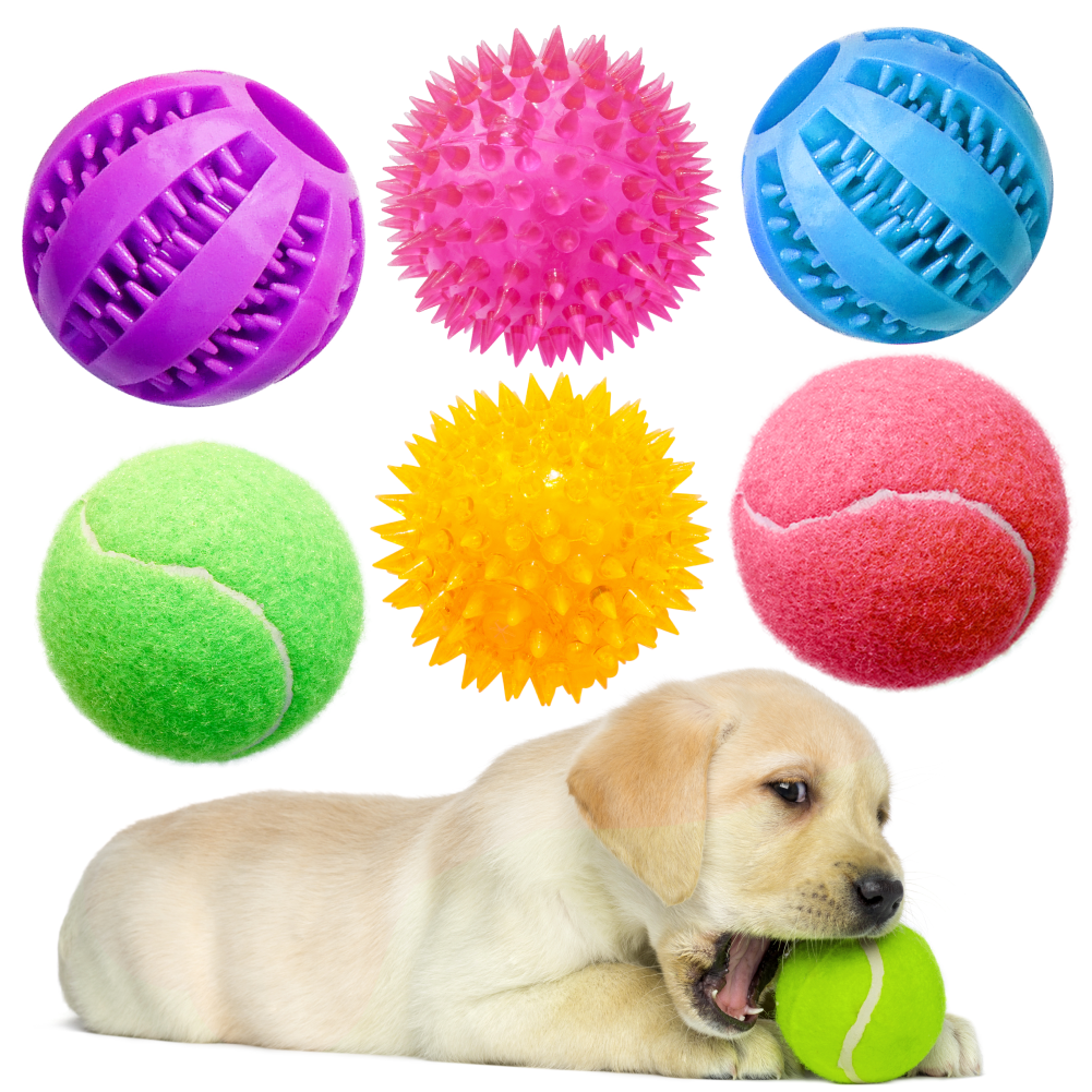 Pacific Pups Products 6 Pack of Dog Balls - Treat Balls， Squeaky Tennis and Spikey Balls