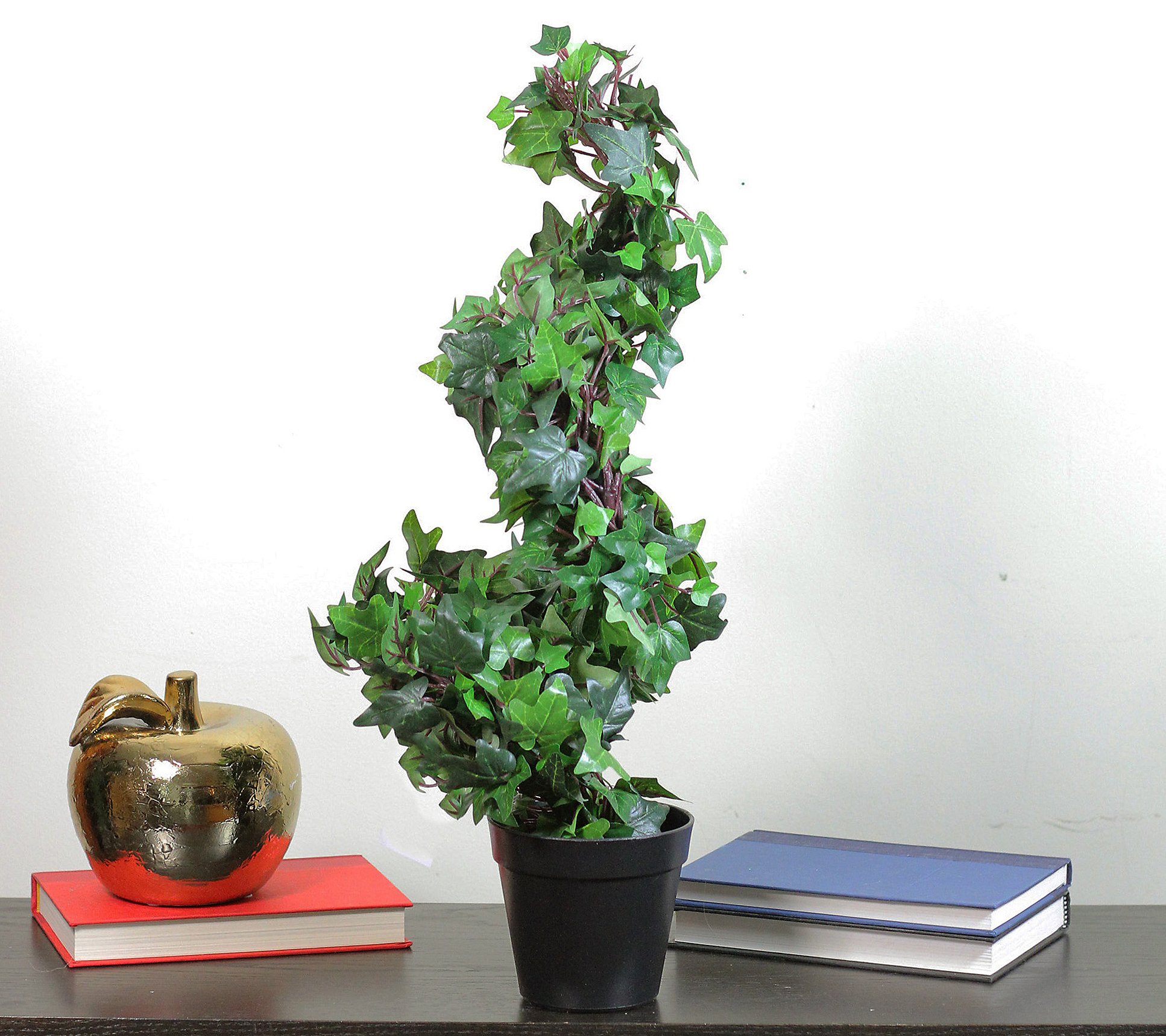 Northlight 1.8' Green and Black Potted Ivy SpiralTopiary Tree