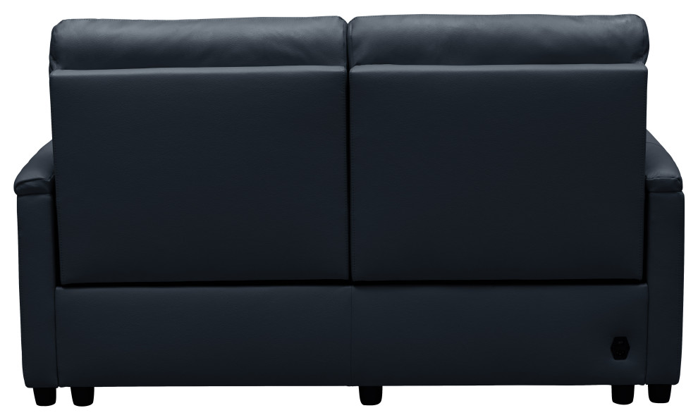 Lily Leather Power Reclining Loveseat With Power Headrests   Contemporary   Loveseats   by Abbyson Living  Houzz