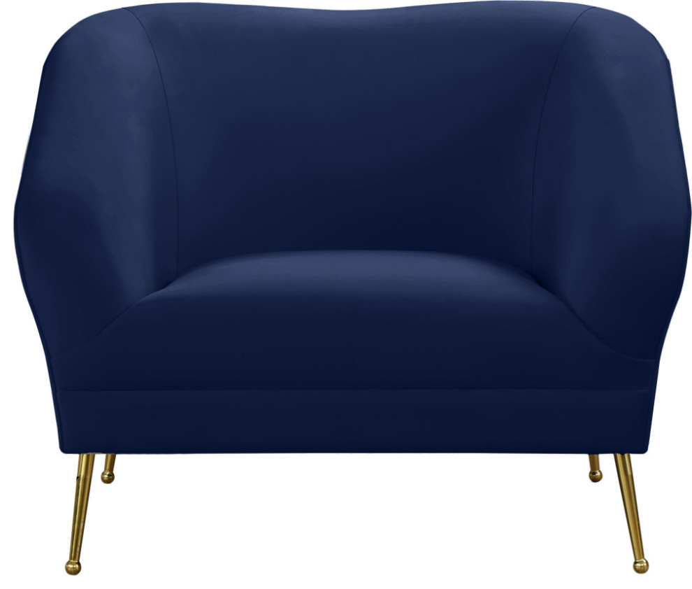 Hermosa Velvet Chair   Midcentury   Armchairs And Accent Chairs   by Meridian Furniture  Houzz