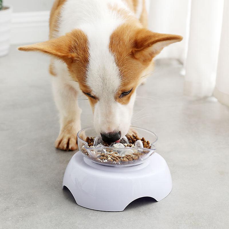 Non slip slow feeder pet bowls