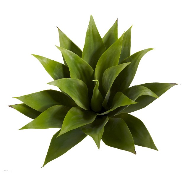 Agave Succulent Plant (set Of 2)