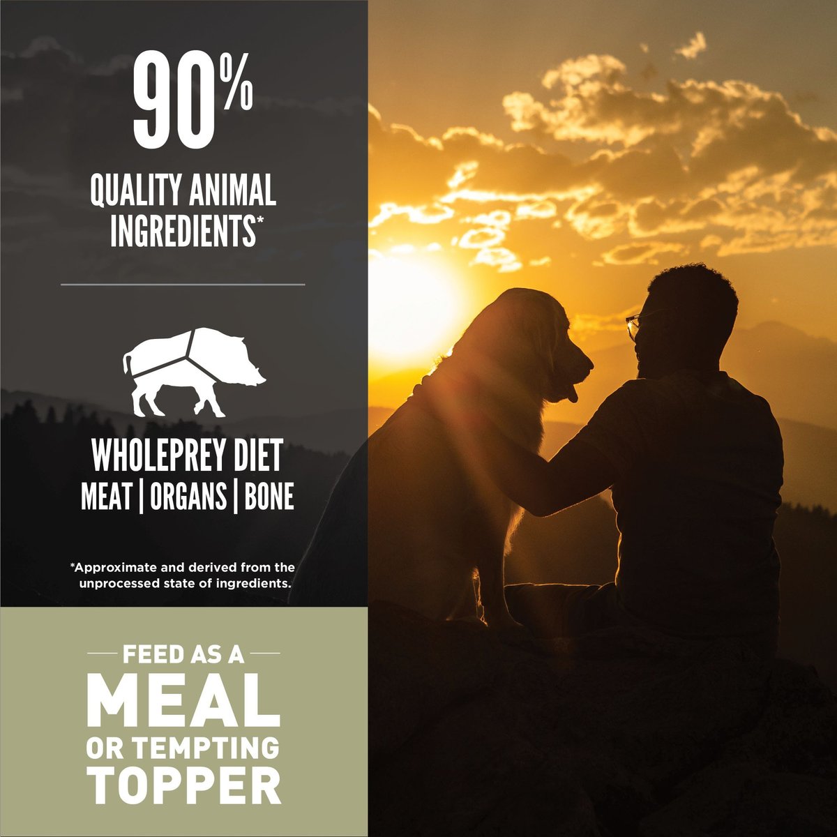 ORIJEN Tundra Grain-Free Freeze-Dried Dog Food and Topper